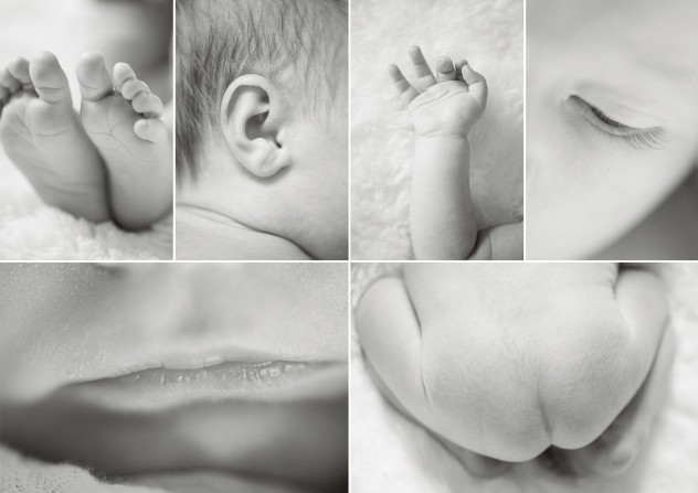 Newborn Photography 