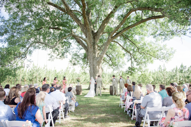 Wedding Photography 